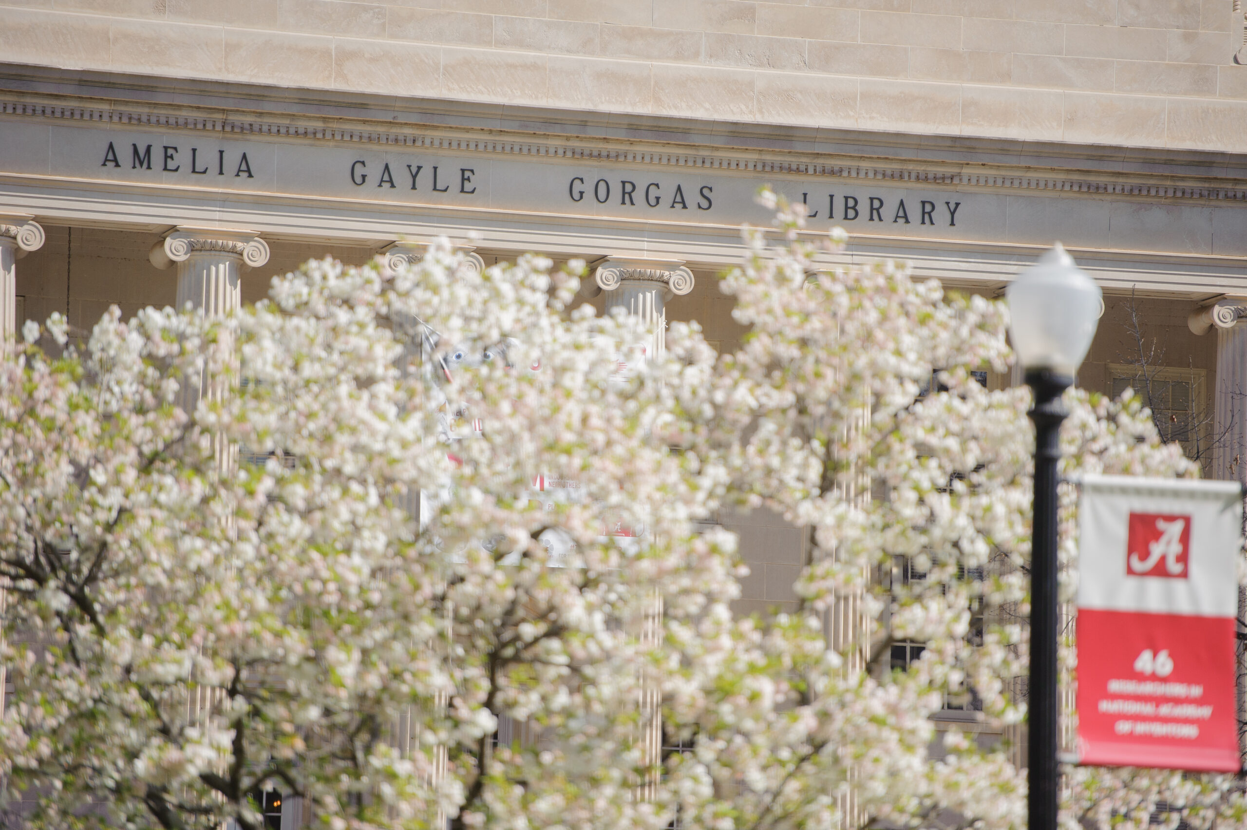 Gorgas Library